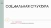 Социальная структура