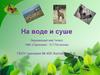 На воде и суше. 1 класс