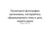 Особенности строения и жизнедеятельности растений. Деление растений на группы