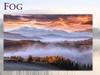 Fog