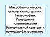 Микробиологические основы химиотерапии. Бактериофаги. Проведение идентификации бактериальной культуры с помощью бактериофагов