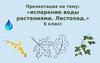 Испарение воды растениями. Листопад. 6 класс