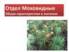 Отдел Моховидные. Общая характеристика и значение