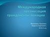 Международная организация гражданской авиации