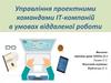 Управління проектними командами ІТ-компаній в умовах віддаленої роботи