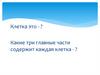 Клетка это