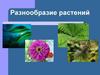 Разнообразие растений
