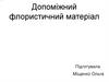 Допоміжний флористичний матеріал