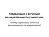 Координация и регуляция жизнедеятельности у животных