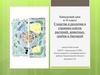 Сходства и различия в строении клеток растений, животных, грибов и бактерий. 10 класс
