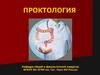 Проктология. Толстая кишка