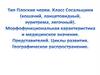 Тип Плоские черви. Класс Сосальщики. Морфофункциональная характеристика и медицинское значение