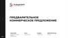 Предварительное коммерческое предложение