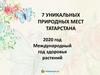 7 уникальных природных мест Татарстана