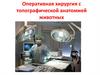 Оперативная хирургия с топографической анатомией животных
