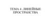 Линейные пространства. Тема 4
