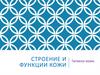 Строение и функции кожи. Гигиена кожи
