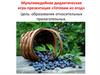 Мультимедийная дидактическая игра «Готовим из ягод»