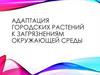 Адаптация городских растений к загрязнениям окружающей среды