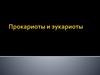 Прокариотическая и эукариотическая клетка