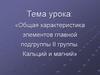 Общая характеристика элементов главной подгруппы II группы. Кальций и магний