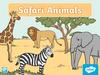 Safari animals