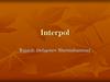 Interpol. Yaratilish tarixi