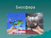Биосфера