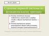 Строение нервной системы по функциональному признаку