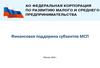 Финансовая поддержка субъектов МСП