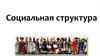 Социальная структура