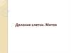 Деление клетки. Митоз