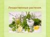 Лекарственные растения