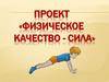 Проект «Физическое качество - сила»