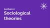 Sociologicaltheories. Lecture 2