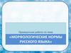 Морфологические нормы русского языка. Проверочная работа