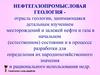 Нефтегазопромысловая геология