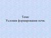 Условия формирования почв