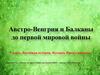 Австро-Венгрия и Балканы до первой мировой войны. 9 класс. Всеобщая история. История Нового времени