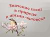 Значение птиц в природе и жизни человека. Проект по биологии. 7 класс