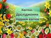 Квітка. Дослідження будови квітки