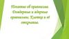 Понятие об организме. Доядерные и ядерные организмы. Клетка и её открытие