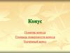 Понятие конуса. Площадь поверхности конуса. Усечённый конус