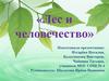 Лес и человечество