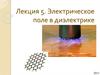 Электрическое поле в диэлектрике. Лекция 5