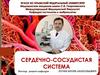 Сердечно-сосудистая система