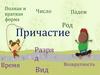 Полная и краткая форма. Действительные и страдательные причастия