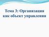 Организация как объект управления  (тема 3)