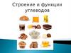 Строение и функции углеводов