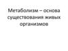 Метаболизм - основа существования живых организмов